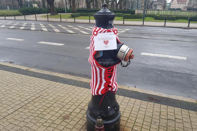 Poznańskie hydranty ubrane w biało-czerwone kubraczki! 