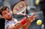 Grigor Dimitrow, tenis