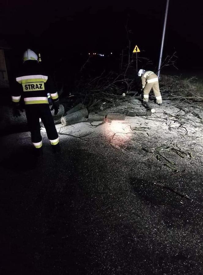 Drzewa na samochodach, zerwane dachy, brak prądu. Skutki wichury w Toruniu i okolicach