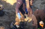 Szokujące odkrycie w Wieliszewie. Budowlańcy wykopali ludzkie szczątki