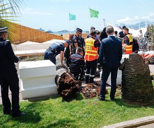 Dramat na festiwalu w Cannes! Producent uderzony przez palmę trafił do szpitala