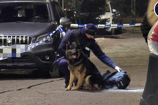 Napad na dom w Józefowie