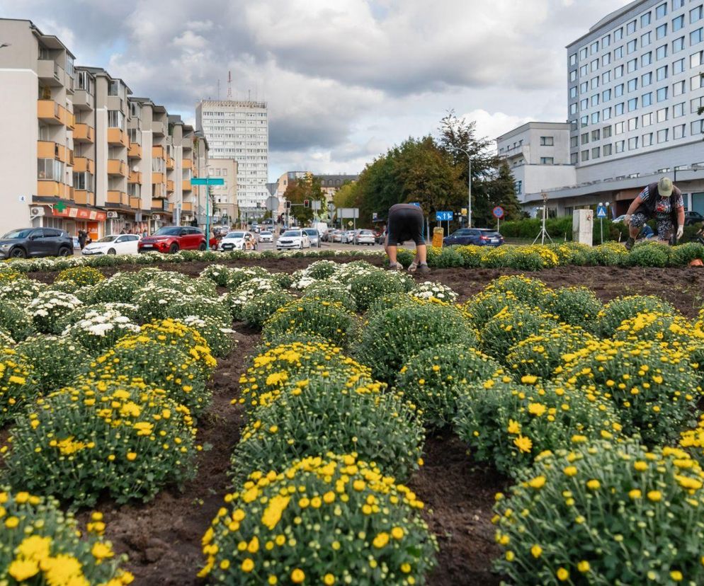 Władze miasta zaserwowały mieszkańcom Białegostoku kolejną podwyżkę. Co będzie droższe?