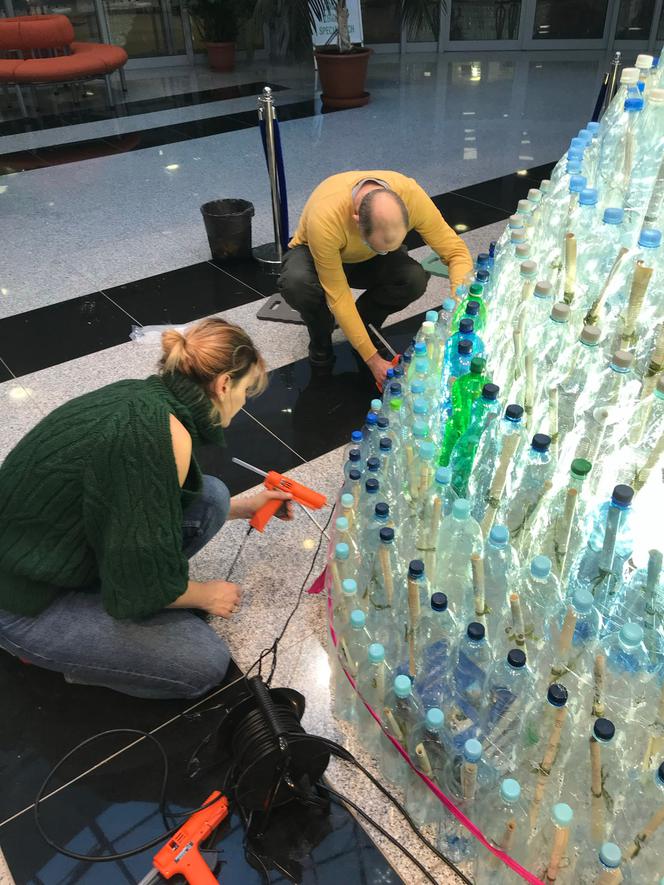 Niezwykła choinka w Olsztynie. Zbudowali ją z ponad 620 plastikowych butelek! [ZDJĘCIA]