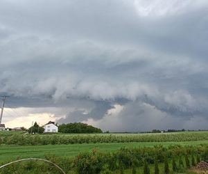 Potężne burze nad Polską. Drzewa spadały na samochody, setki interwencji straży pożarnej 