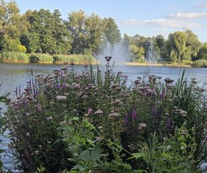 Zielona perła Bartodziejów. Odkryj uroki bydgoskiego Balatonu