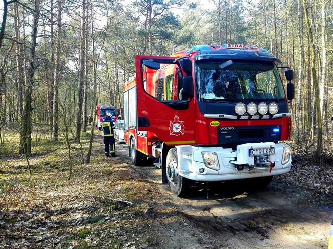 Dramatyczne chwile koło Torunia. Mężczyznę przygniotło drzewo