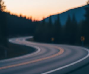 Ryś zginął w Tatrach. Czy kierowcy są wystarczająco ostrożni?