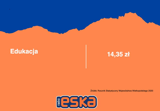 Wielkopolska: Na co wydajemy najwięcej pieniędzy?