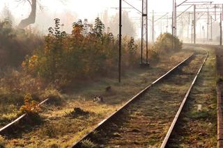 Pociągi wrócą na tory. Podpisano porozumienie w sprawie połączeń kolejowych do Ciechocinka