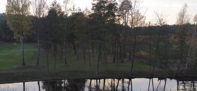 Idealne miejsce na jesienny spacer w Śląskiem - Kamień 