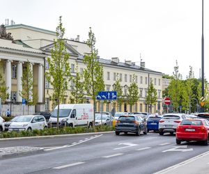 Sadzenie zieleni na placu Bankowym w maju 2025 r.