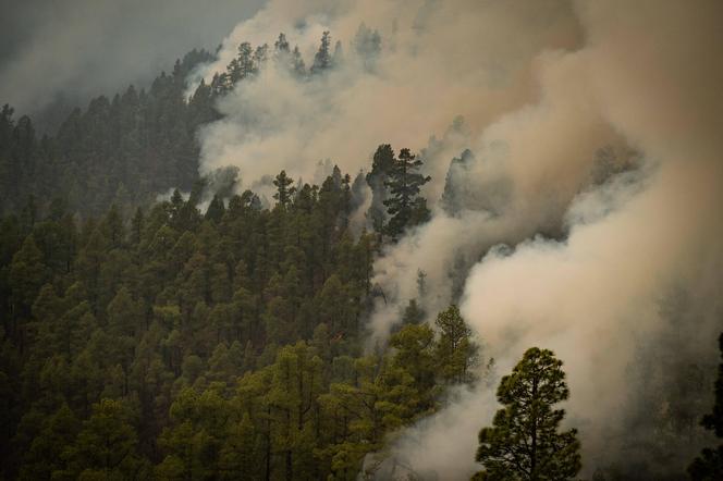 la palma pożar