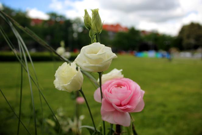 Wystawa Florystyczna na Wałach Chrobrego