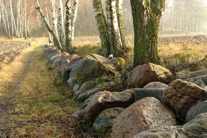 Park Krajobrazowy Wzniesień Łódzkich