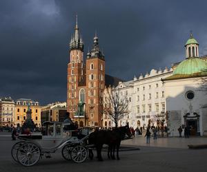 W tych miastach w Polsce mieszka prawdziwa elita! Mądrych można spotkać na każdym kroku 