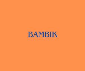 Młodzieżowe Słowo Roku 2023 - Bambik 