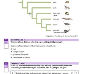 Matura 2024: biologia. Arkusze CKE i odpowiedzi. Poziom rozszerzony [Formuła 2023]