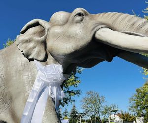 Odsłonięta figura słonia leśnego w Grodzisku Mazowieckim