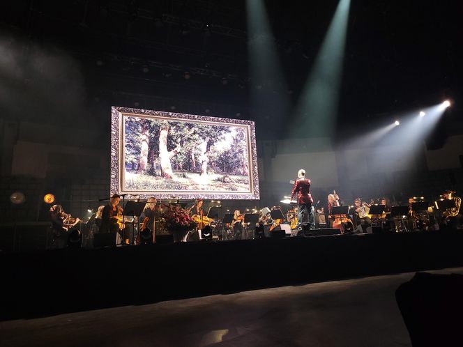 Arena Festival film&music