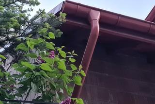 Oszukani metodą na rynnę