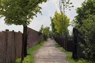 Pomysł na wycieczkę niedaleko Lublina? Zoo w Wojciechowie to idealny kierunek!