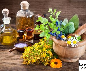 Zioła i rośliny lecznicze, które mają dobry wpływ na OCZY