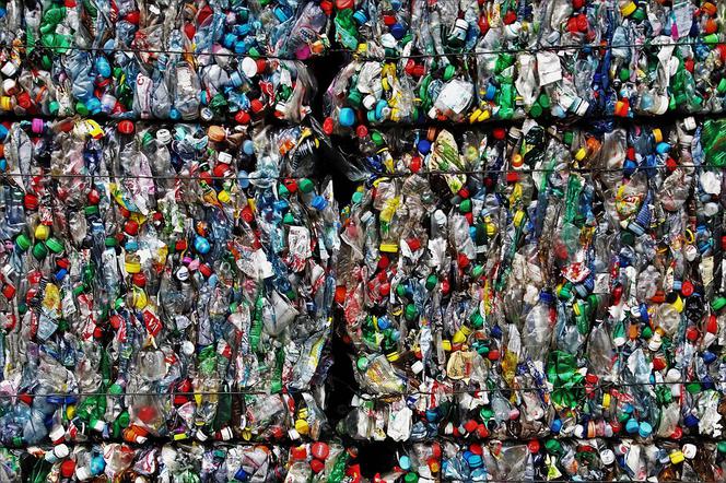 Plastik stanowi ogromne zagrożenie dla środowiska