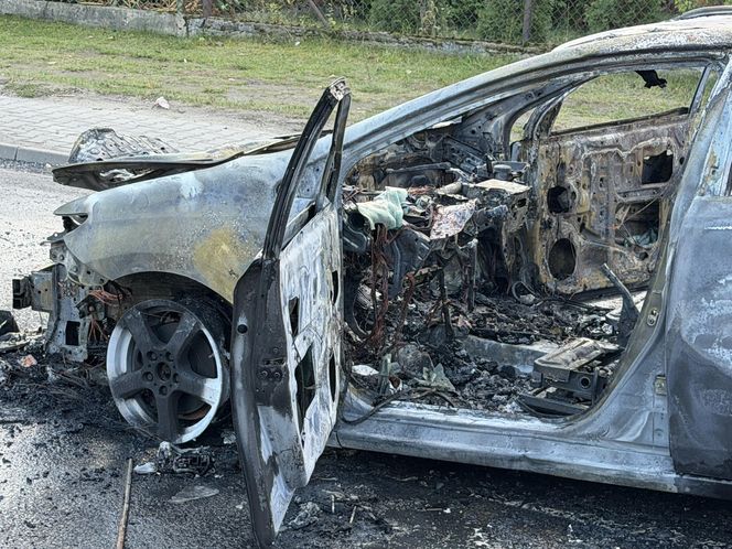 Truskaw. Auto stanęło w ogniu, kierowca się palił