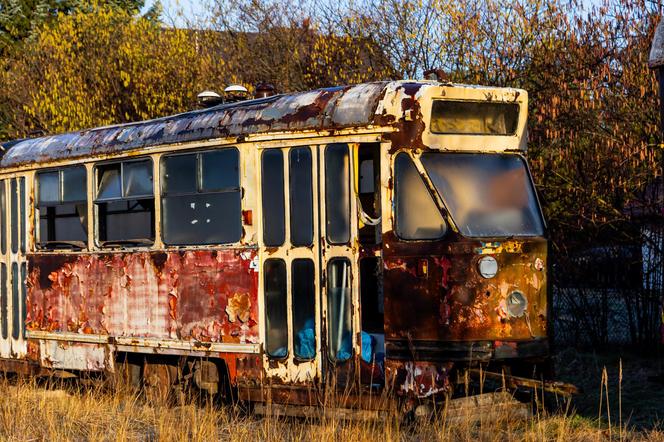 Zobacz kolekcję starych tramwajów w prywatnym ogrodzie - zdjęcia. Wagony stoją na działce w Warszawie