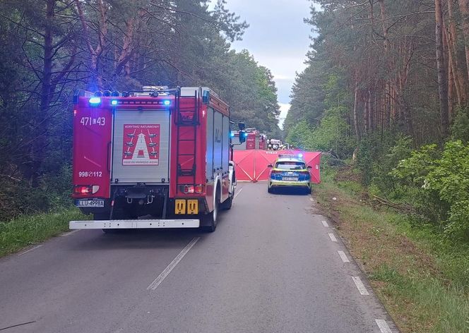 Zderzenie auta z łosiem zakończyło się tragedią