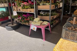 Rzeszowskie targowiska pełne świeżych owoców i warzyw