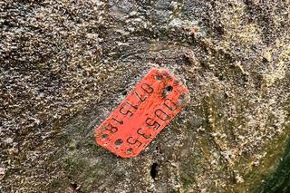 Wysprzątano rzekę Pisę. Natrafiono na unikatowe w skali kraju znalezisko! [ZDJĘCIA]