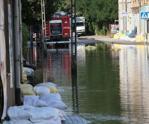 Powódź w Lubuskiem. Jaki jest stan wód w województwie? Aktualne dane hydrologiczne na 19 września	