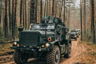 Wojsko polskie na Litwie