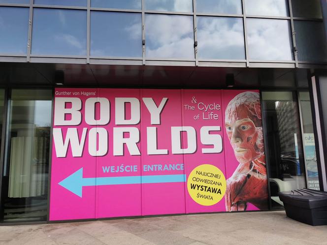 Wystawa BODY WORLDS