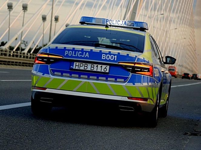 Praca w policji