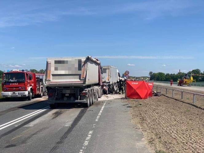 Tragedia w Niewieścinie. Czterech mężczyzn nie żyje. Zdjęcia z miejsca wypadku