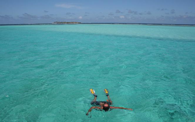 Nurkowanie na Tobago Cays