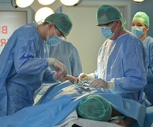 Pierwsza miłość, odcinek 4037: Chory Wenerski podejmie się trudnej operacji. Nie powinien stawać przy stole! - ZDJĘCIA