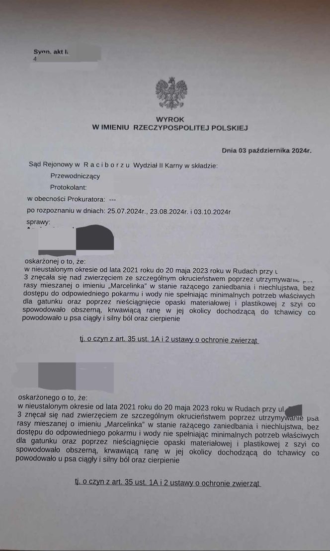 Założyli psu na szyję gumę, trytytki, żeby wrzynały się tchawicę. Jest wyrok sądu za znęcanie się nad Marcelinką. "To były tortury"