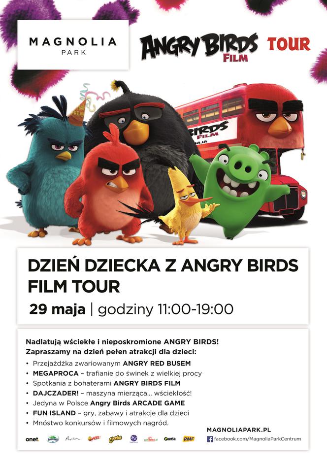Dzień Dziecka z Angry Birds