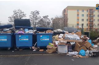 Ze śmietnika kipi! Sprawdzamy, jak idzie segregacja śmieci w Bydgoszczy [WIDEO]