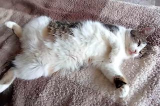 Rachunki zaczynają dobijać Polaków, pomimo działającej tarczy! Fundacja prosi o pomoc