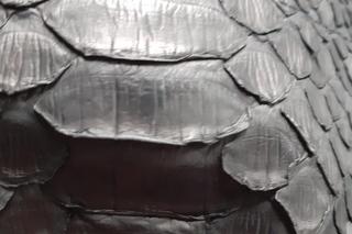 Celnicy zatrzymali przesyłkę ze spodniami z pytona