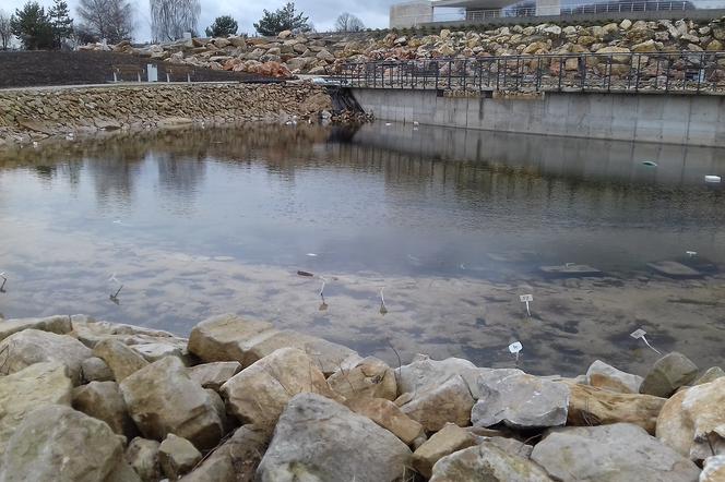 Kolejne atrakcje w Kielcach otwierają się dla zwiedzających. Od piątku czynny będzie Ogród Botaniczny i Geocentrum 