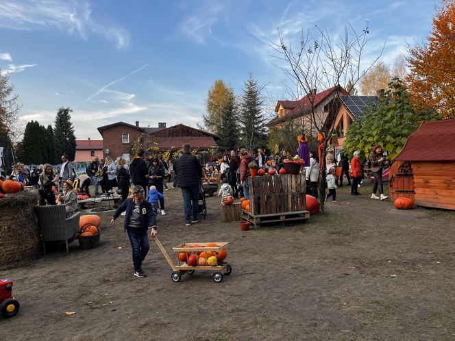 Zagroda 3 siostry w Kamieniu przyciągnęła całe rodziny w ciepły jesienny weekend ZDJĘCIA