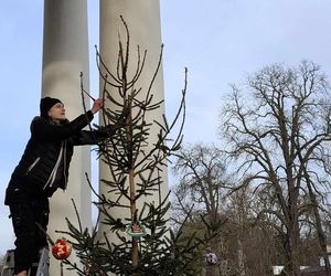 Udekorowana choinka stanęła na środku rzeki w Kaliszu