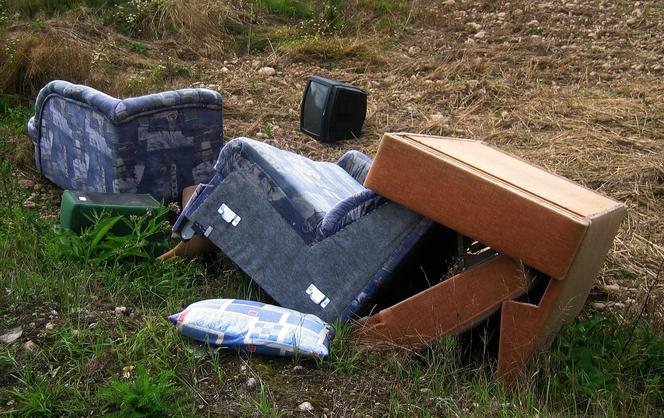 Zaśmiecanie ulicy? 5000 zł grzywny. “Zbrodnia środowiskowa”? Nawet 25 lat więzienia!