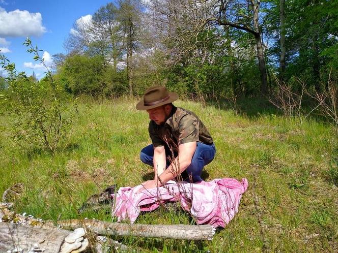 Myśliwi uratowali sarenkę